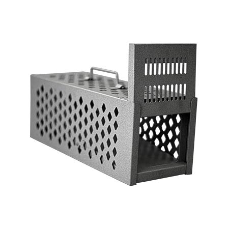 تله موش صحرایی RAT TRAP