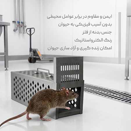 تله موش صحرایی RAT TRAP