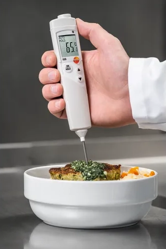 دماسنج میله ای تستو مدل TESTO 106